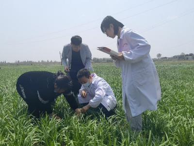 入“链”问诊，精准赋能 市检测站发力服务农业产业链，助推农药贸易高质量发展