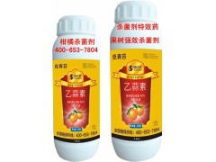 崇左柑橘青苔病防治指南 乙蒜素杀菌剂的神奇效果